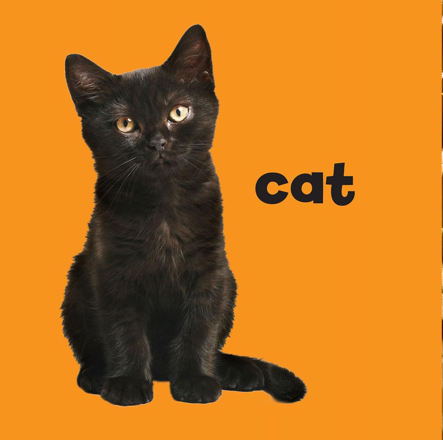 my first trick or treat