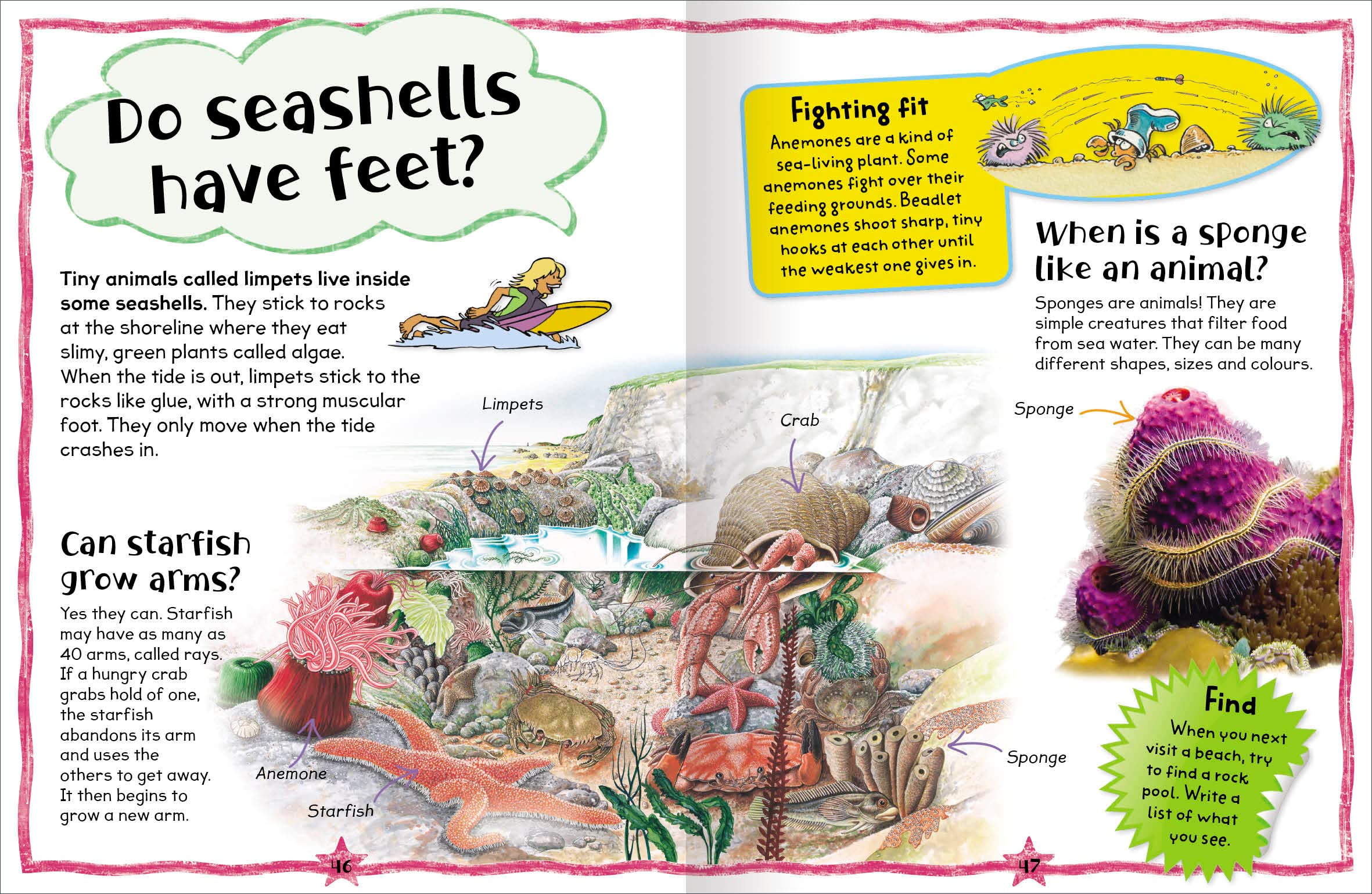 my fun book of questions & answers