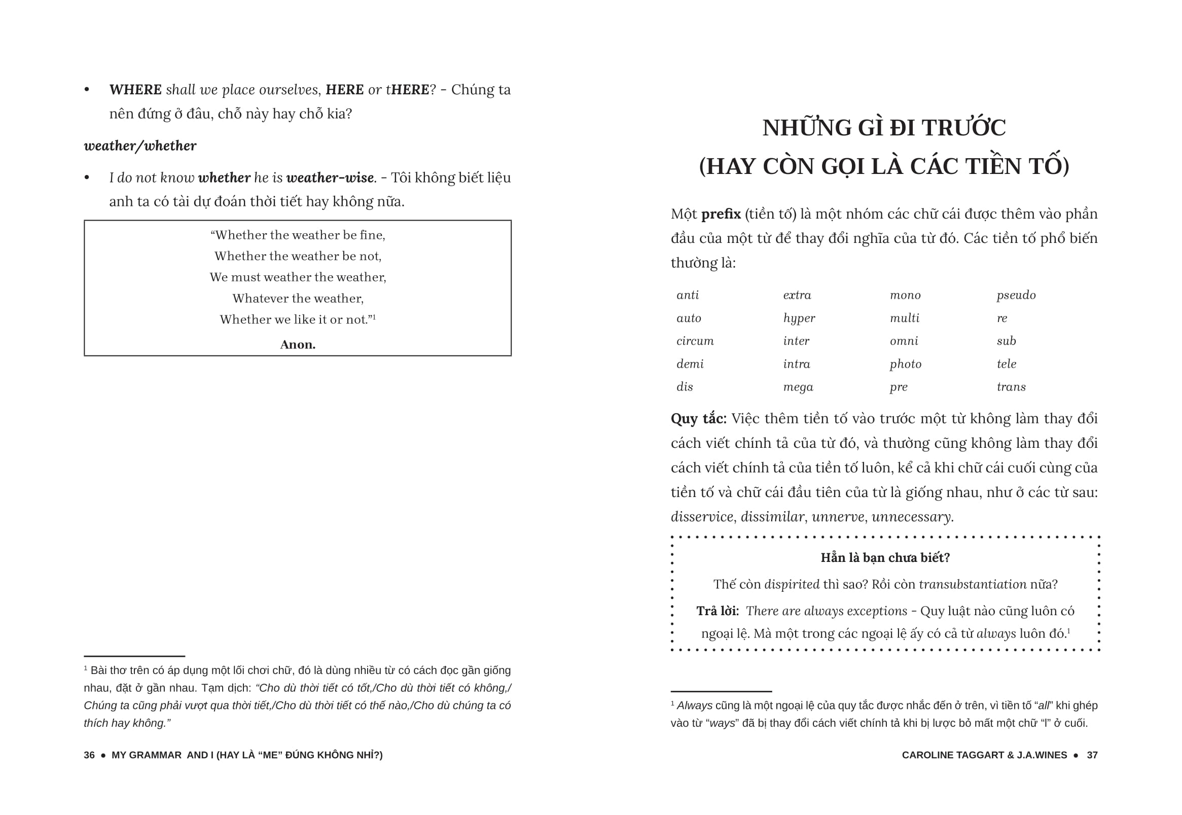 my grammar and i - lý thuyết