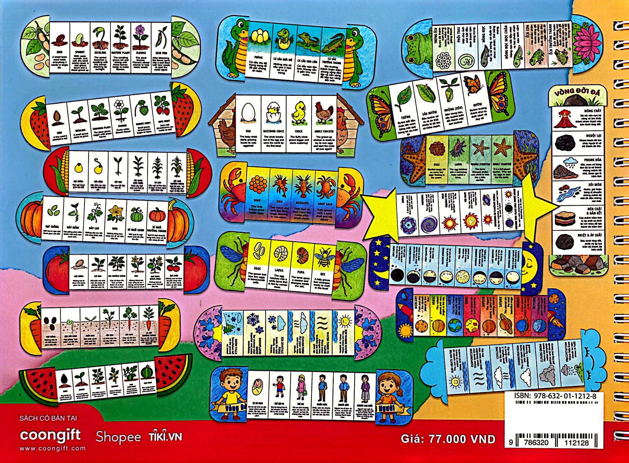 My Life Cycle Activity Book - Vòng Đời Kỳ Diệu - Khám Phá Tự Nhiên Qua Tô Màu, Cắt Dán, Và Gấp