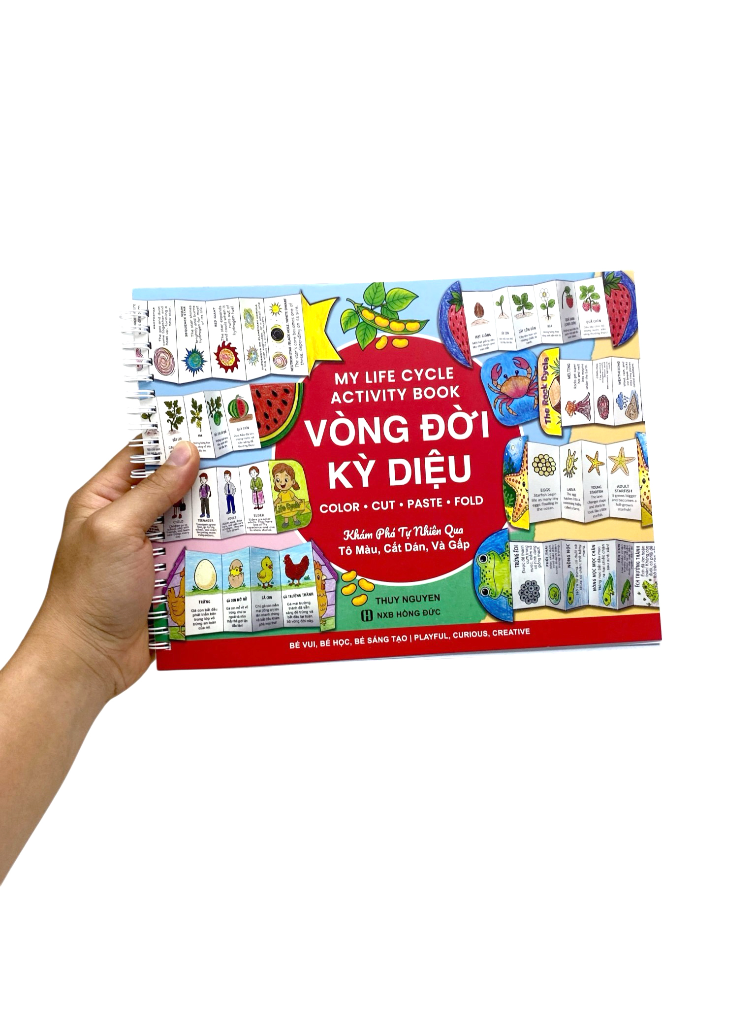 My Life Cycle Activity Book - Vòng Đời Kỳ Diệu - Khám Phá Tự Nhiên Qua Tô Màu, Cắt Dán, Và Gấp