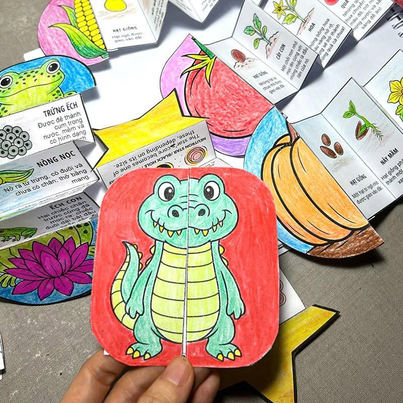 My Life Cycle Activity Book - Vòng Đời Kỳ Diệu - Khám Phá Tự Nhiên Qua Tô Màu, Cắt Dán, Và Gấp