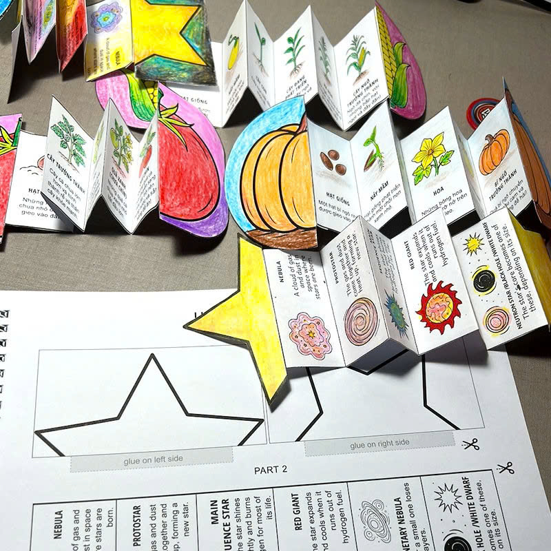 My Life Cycle Activity Book - Vòng Đời Kỳ Diệu - Khám Phá Tự Nhiên Qua Tô Màu, Cắt Dán, Và Gấp