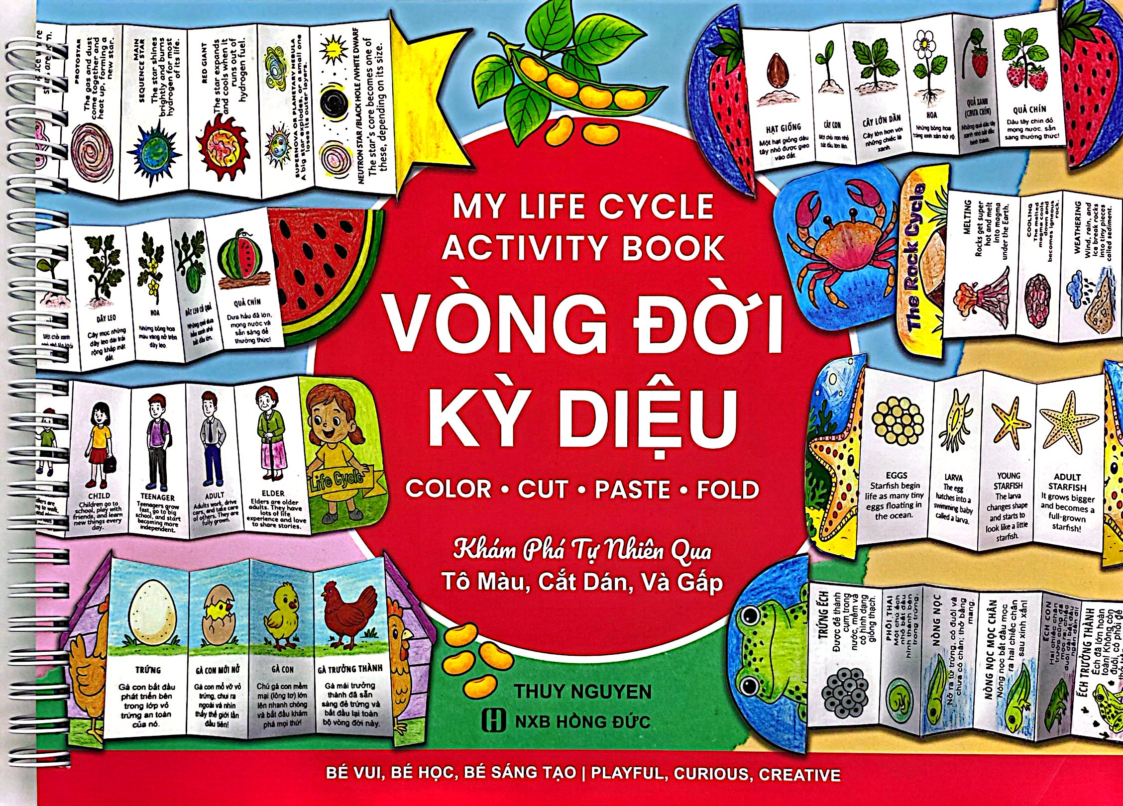 My Life Cycle Activity Book - Vòng Đời Kỳ Diệu - Khám Phá Tự Nhiên Qua Tô Màu, Cắt Dán, Và Gấp