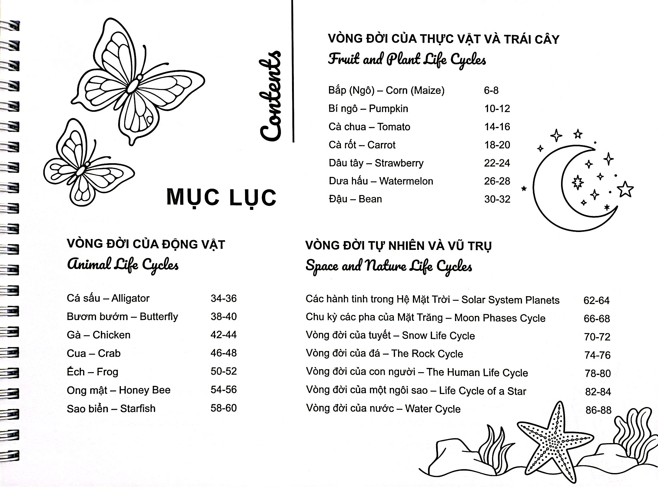 My Life Cycle Activity Book - Vòng Đời Kỳ Diệu - Khám Phá Tự Nhiên Qua Tô Màu, Cắt Dán, Và Gấp