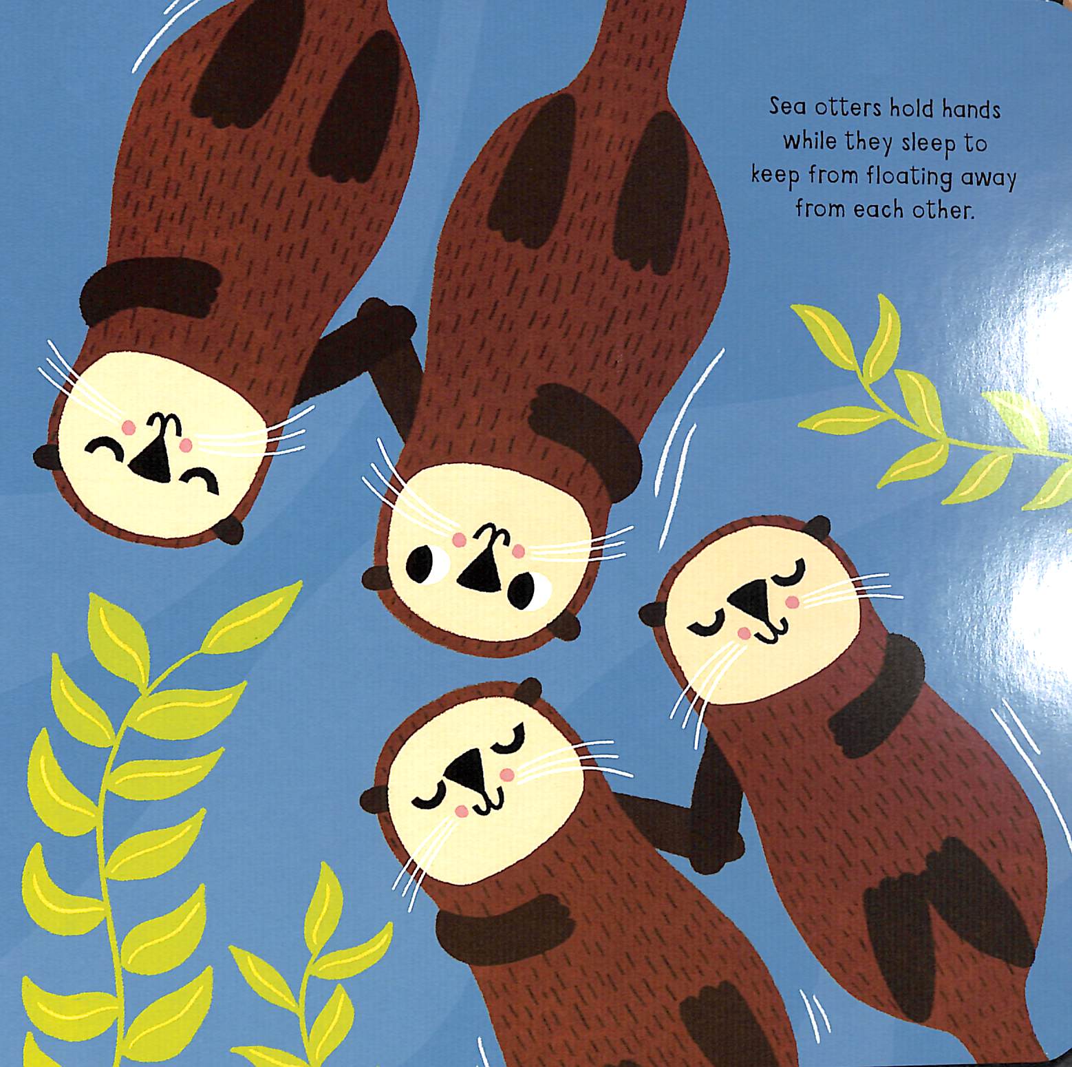 my little ocean explorer: mirror book