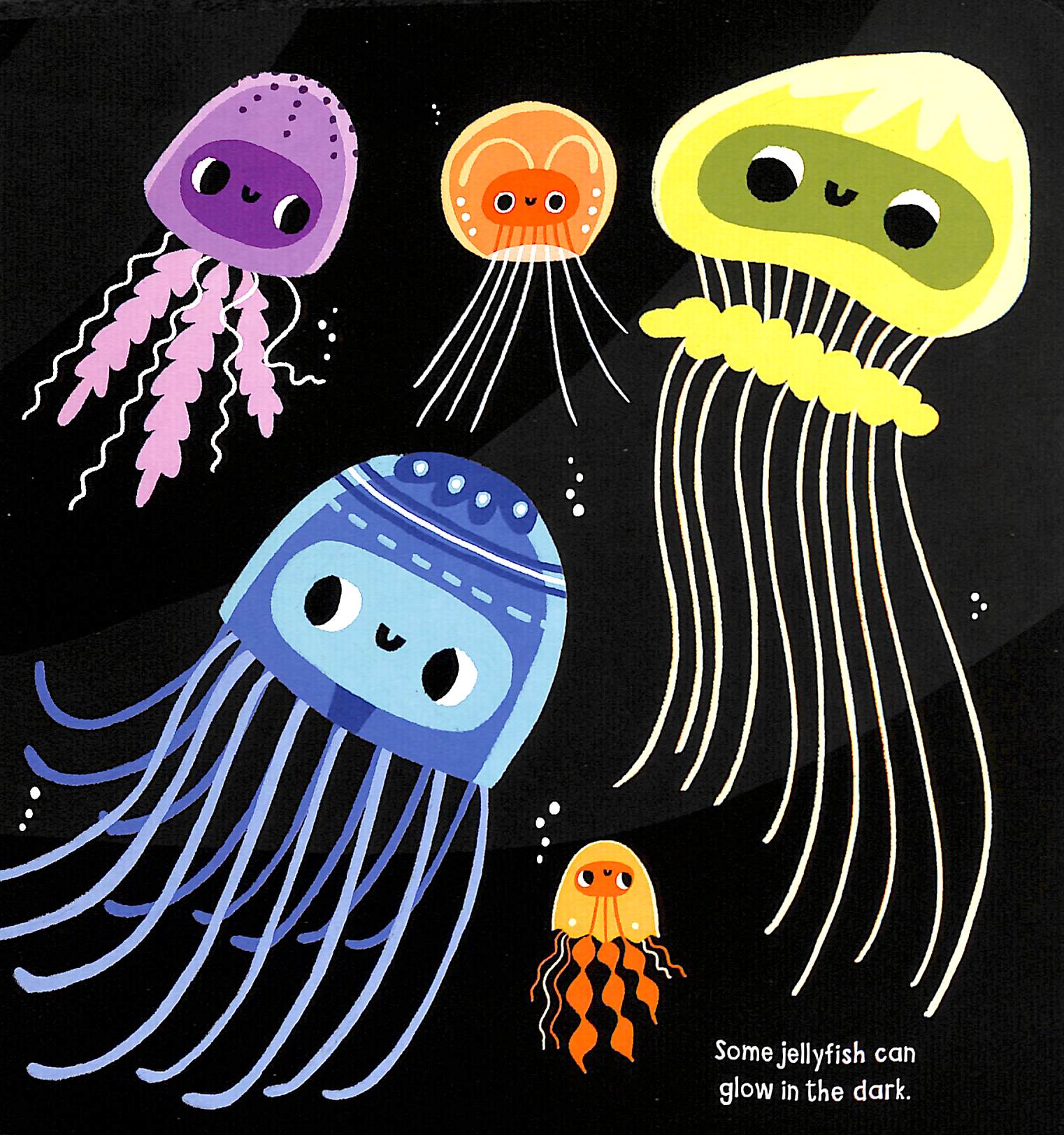 my little ocean explorer: mirror book