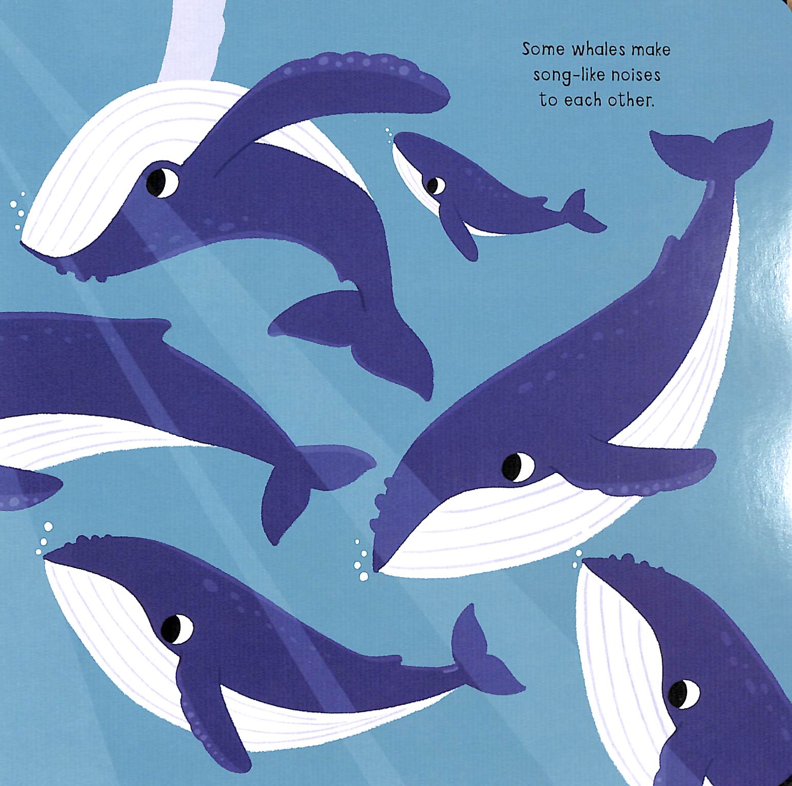 my little ocean explorer: mirror book