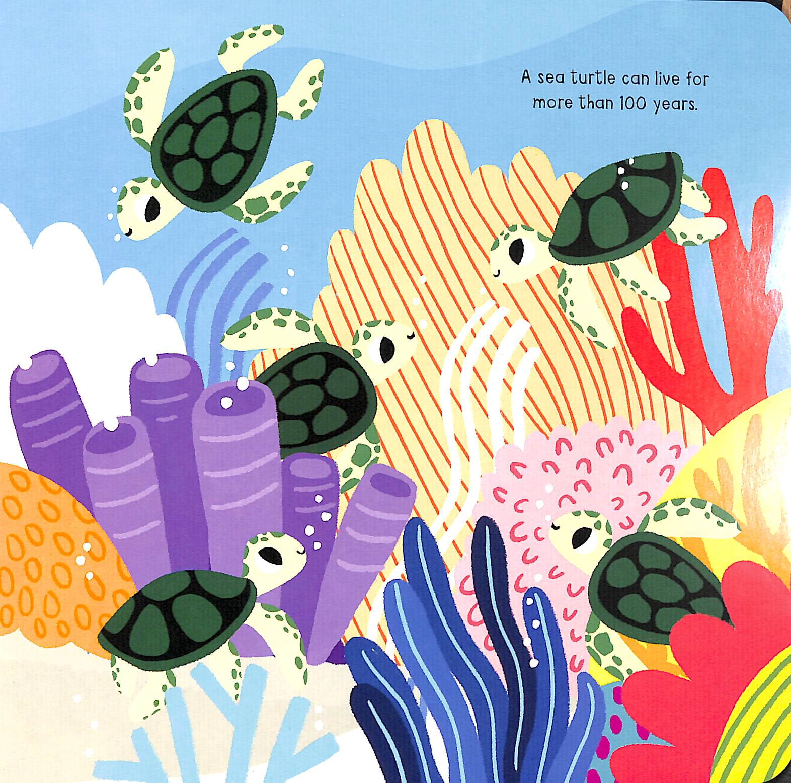 my little ocean explorer: mirror book