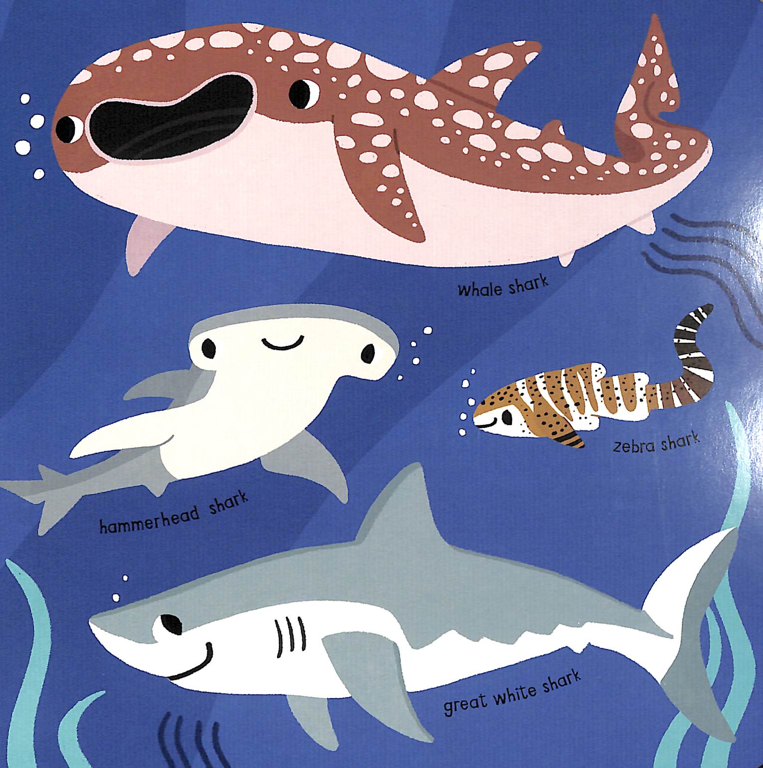 my little ocean explorer: mirror book