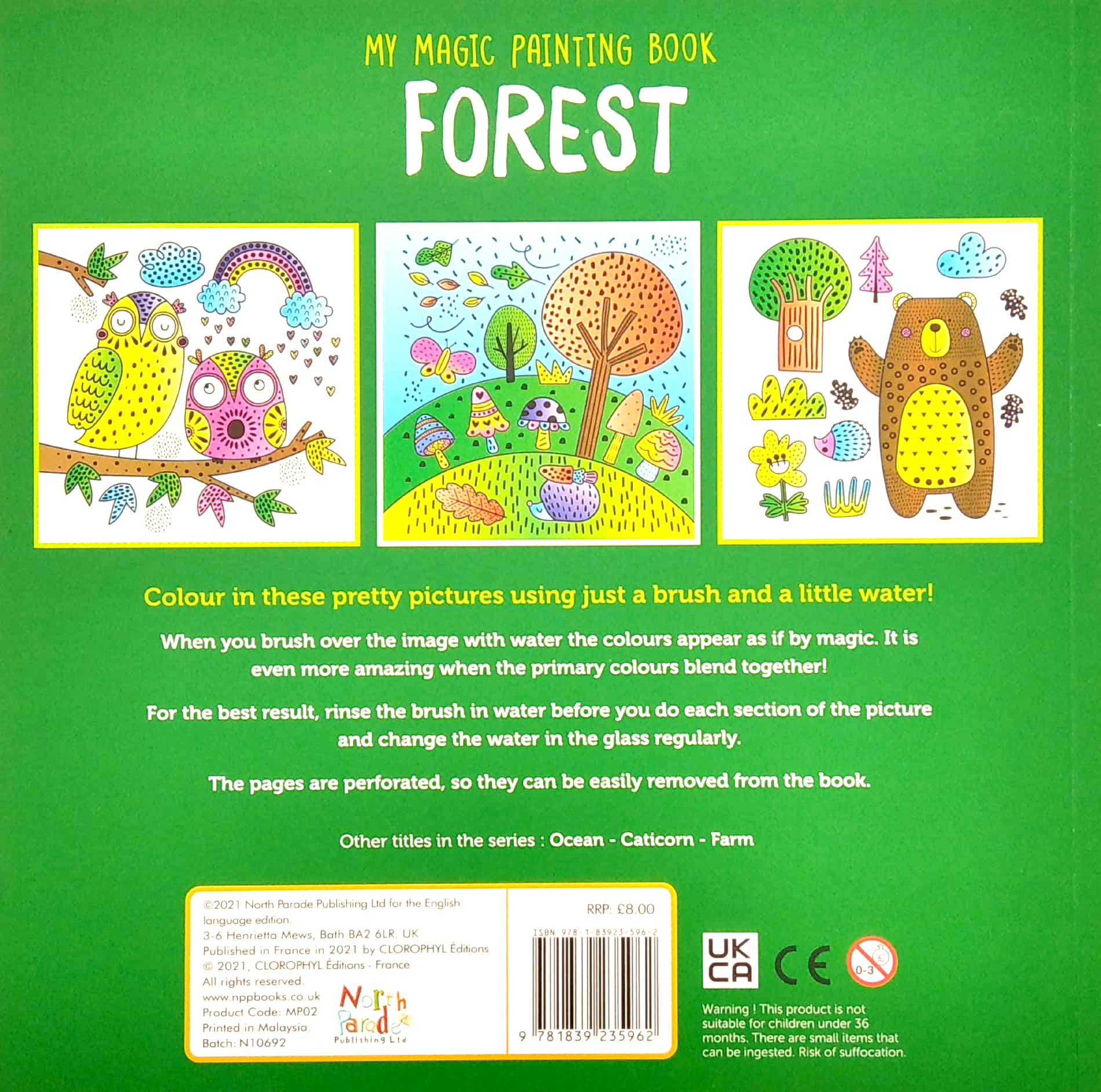 my magic painting book: forest