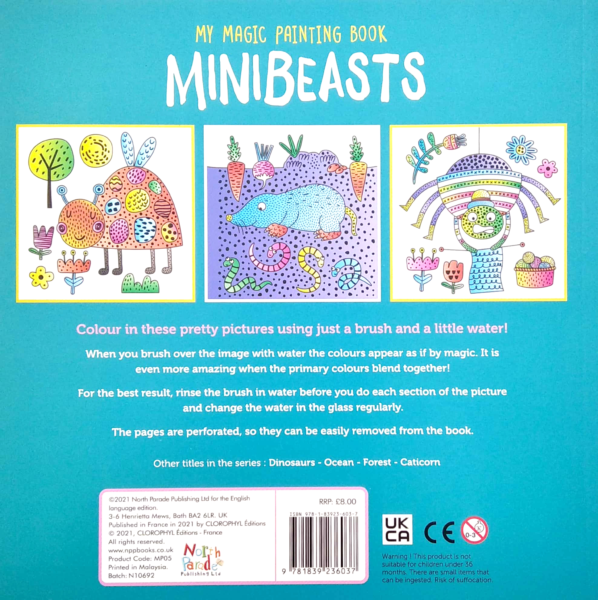 my magic painting book: minibeasts