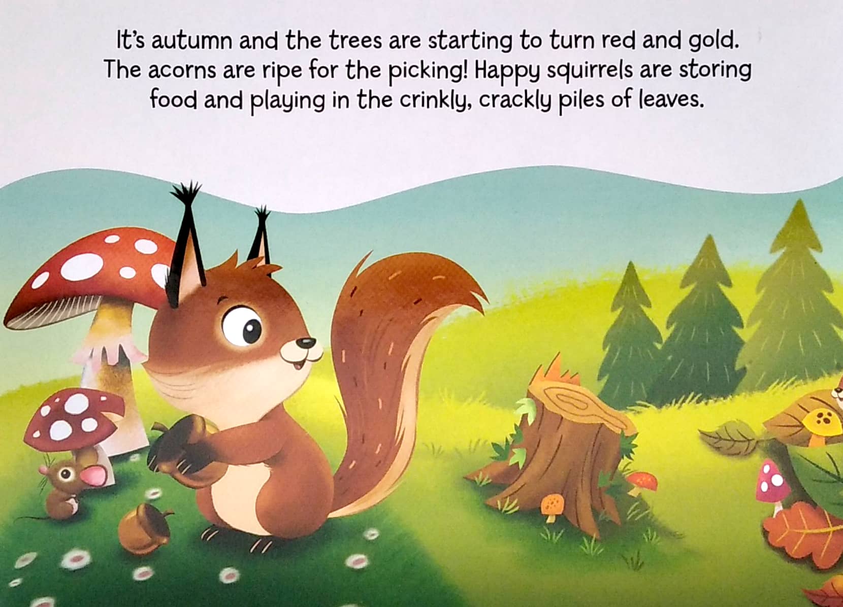 my mini busy book: friendly forest