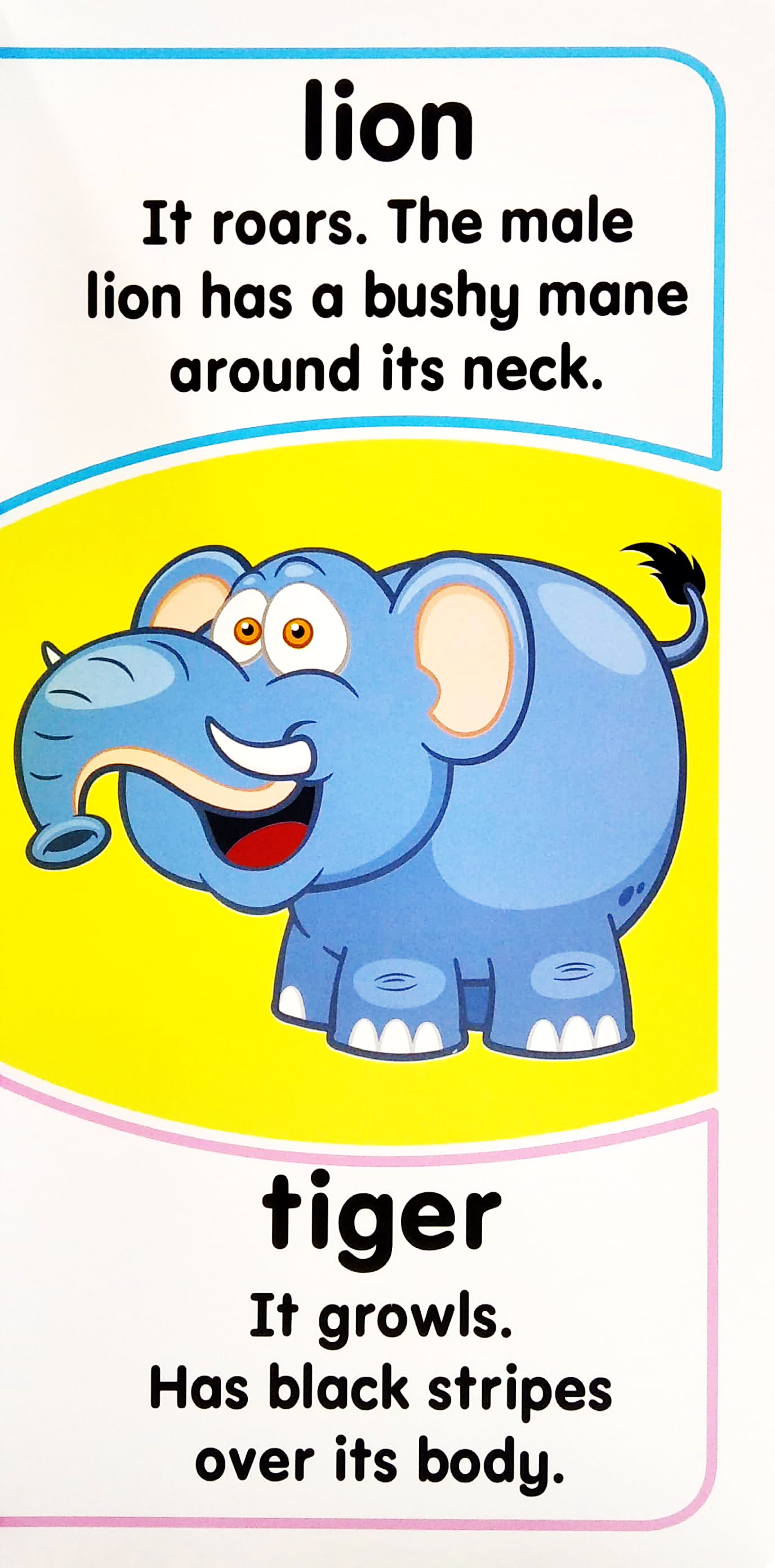 my mini giant: animals essential facts included