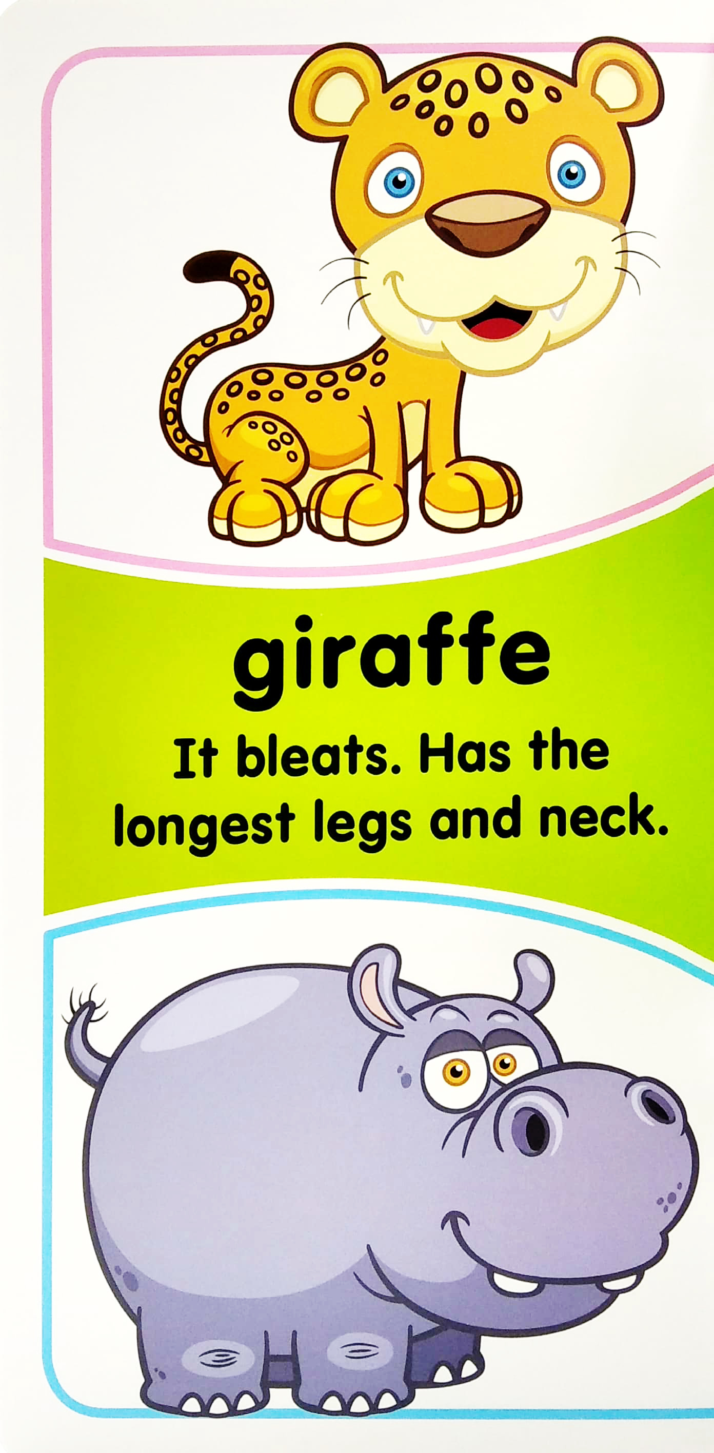 my mini giant: animals essential facts included