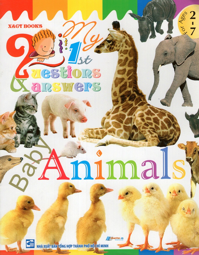my question and answers - baby animals