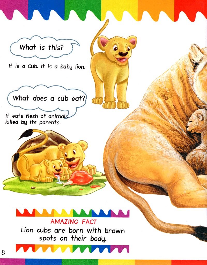 my question and answers - baby animals