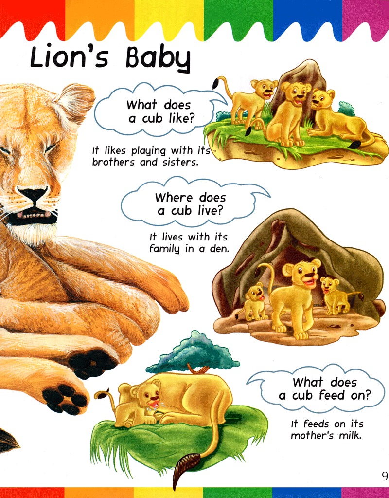 my question and answers - baby animals