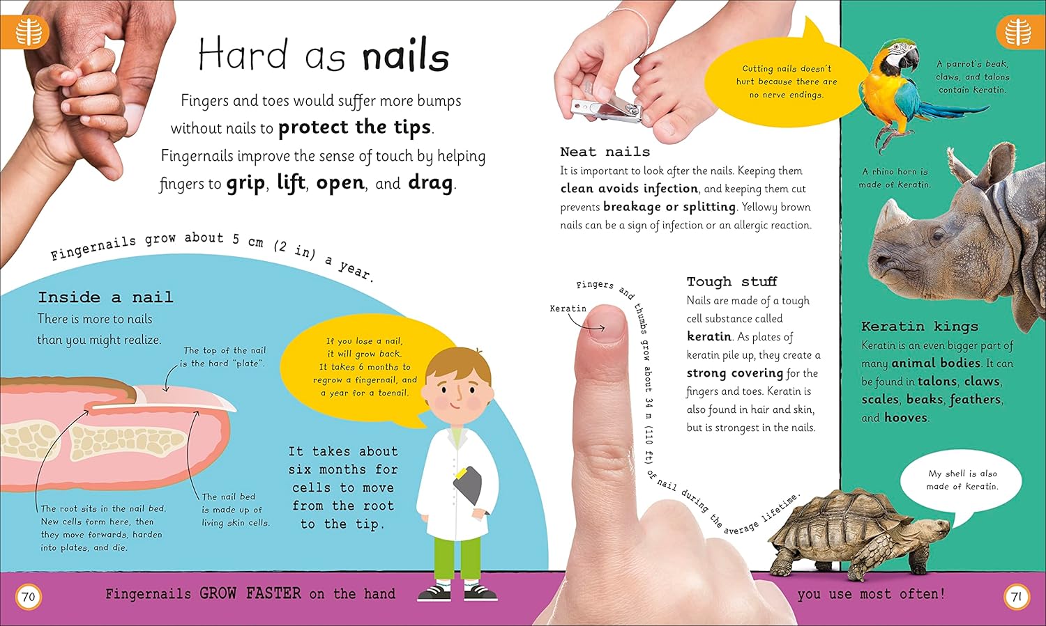 my very important human body - encyclopedias