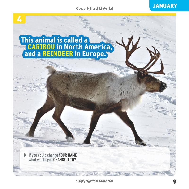 my weird but true! fact-a-day fun journal