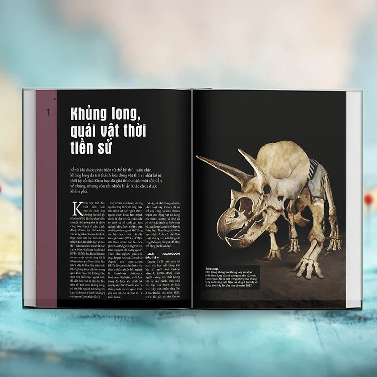 mysteries in history - bí ẩn của lịch sử