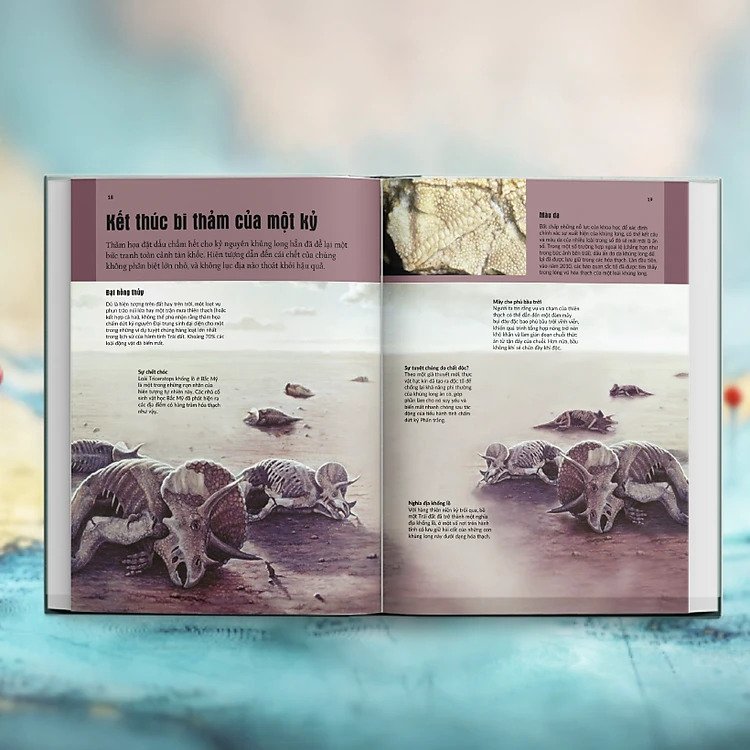 mysteries in history - bí ẩn của lịch sử