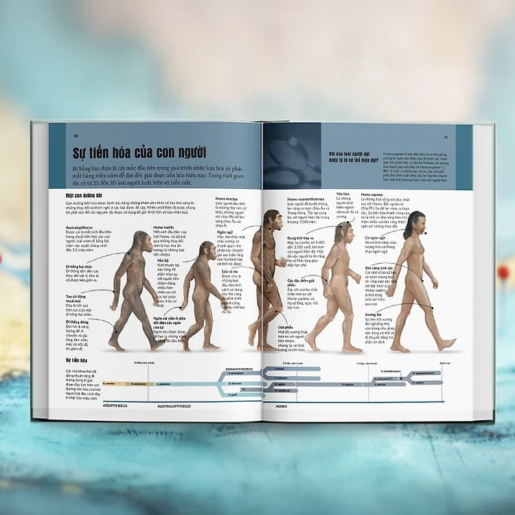 mysteries in history - bí ẩn của lịch sử