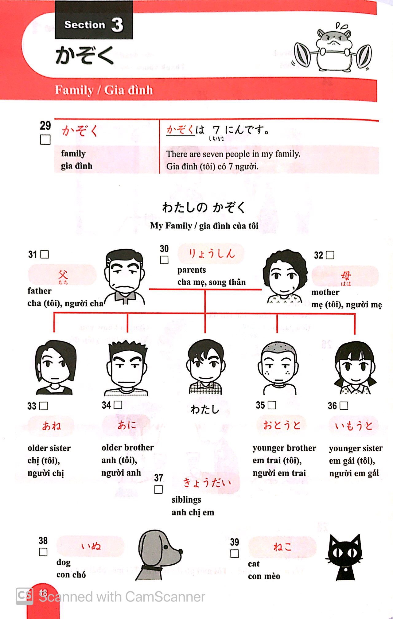 n5 - 1000 từ vựng cần thiết cho kỳ thi năng lực nhật ngữ