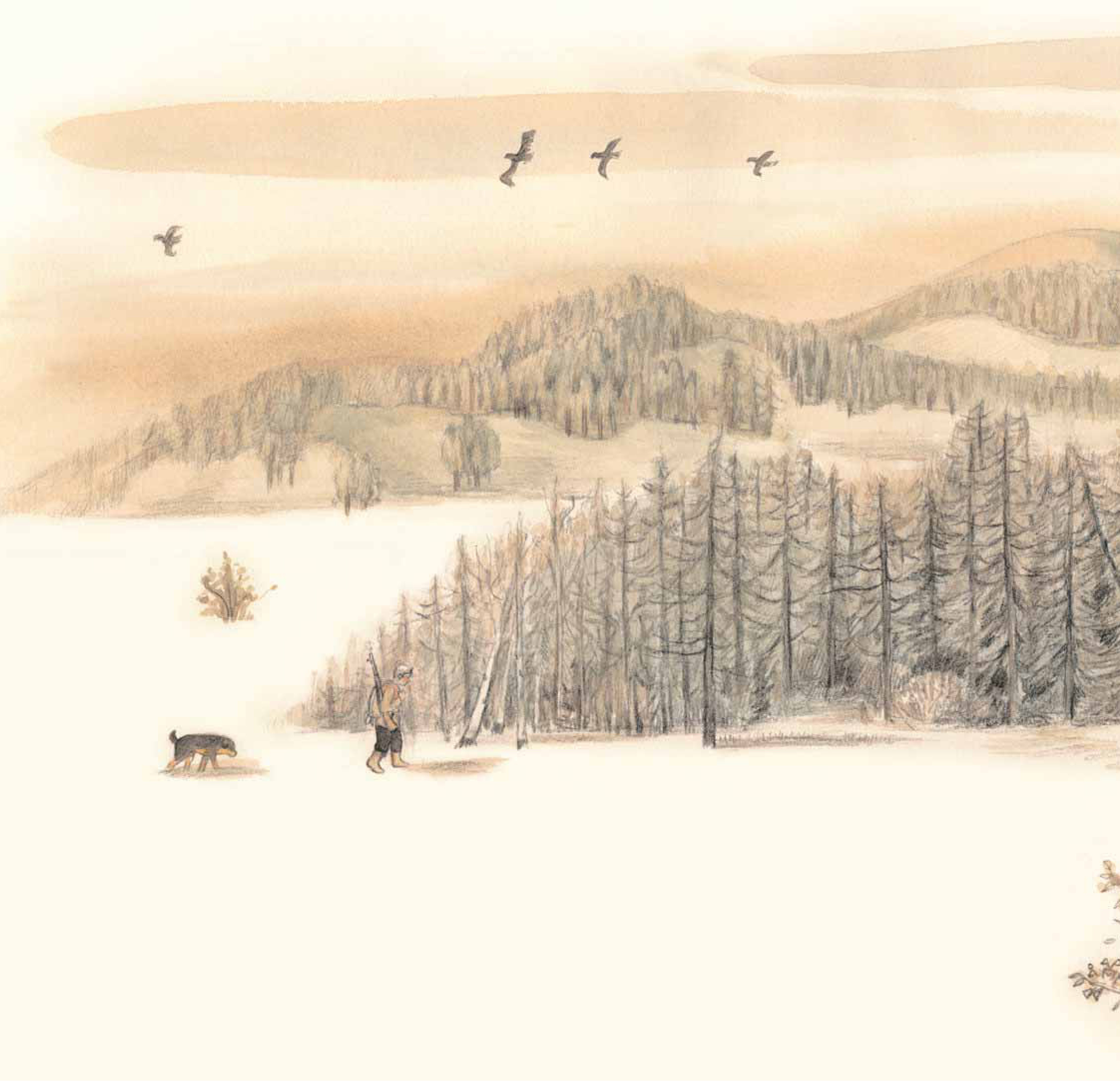 nai sừng tấm và bác thợ săn - bìa cứng