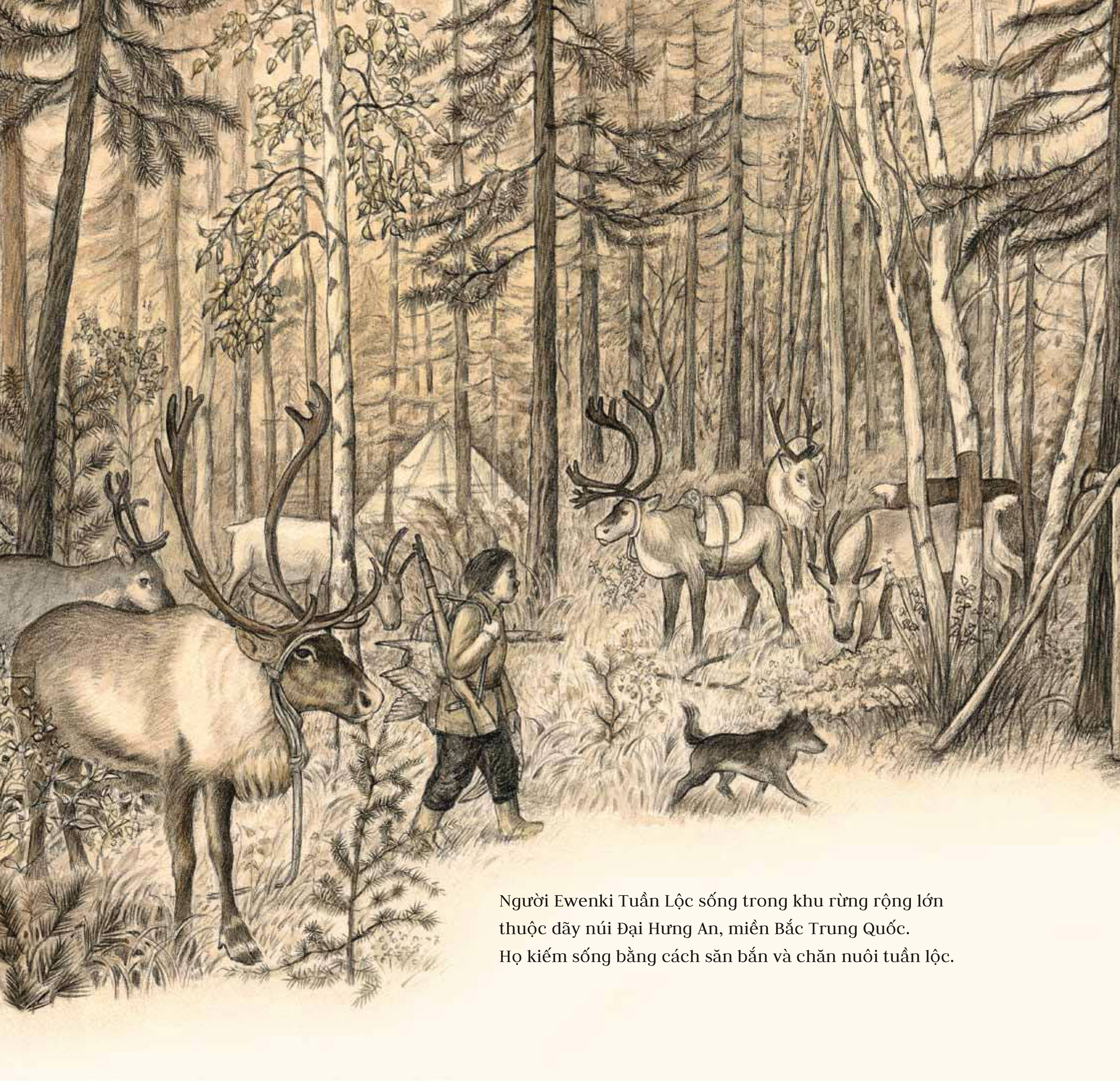 nai sừng tấm và bác thợ săn - bìa cứng