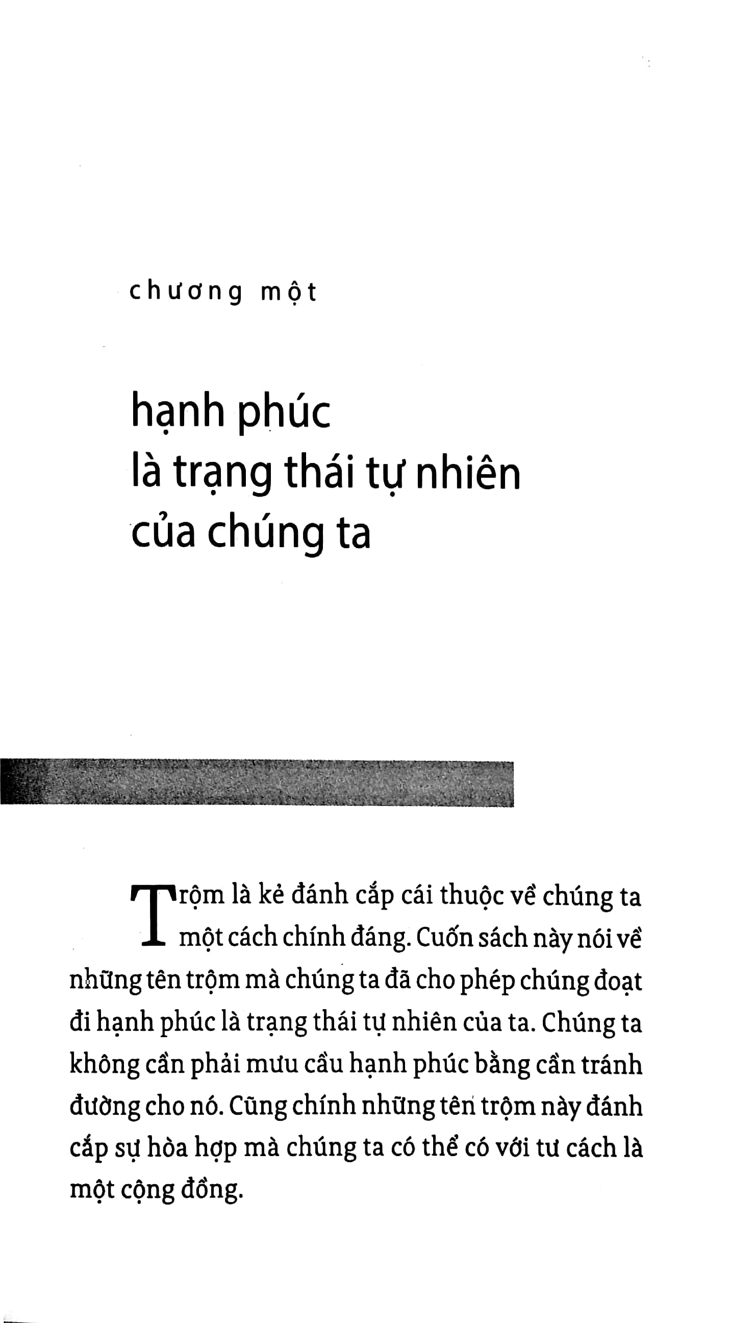 năm kẻ trộm hạnh phúc - the five thieves of happiness