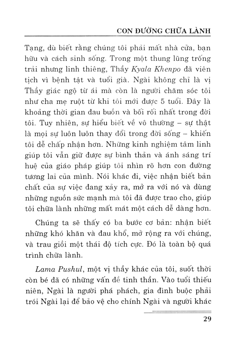 năng lực chữa lành của tâm