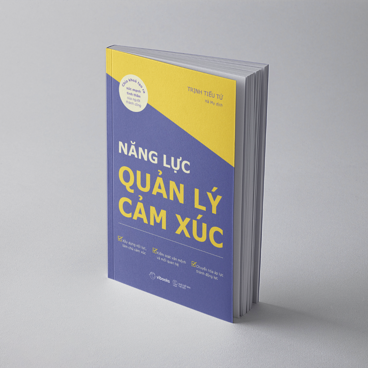 Nang Luc Quan Ly Cam Xuc - Chia Khoa Tao Ra Suc Manh Tinh Than Cua Nguoi Thanh Cong