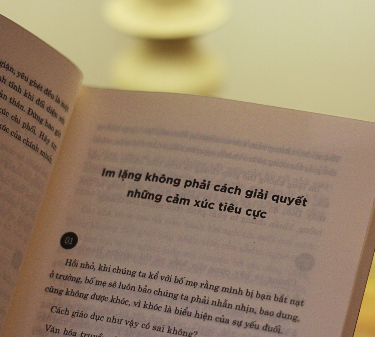 Nang Luc Quan Ly Cam Xuc - Chia Khoa Tao Ra Suc Manh Tinh Than Cua Nguoi Thanh Cong