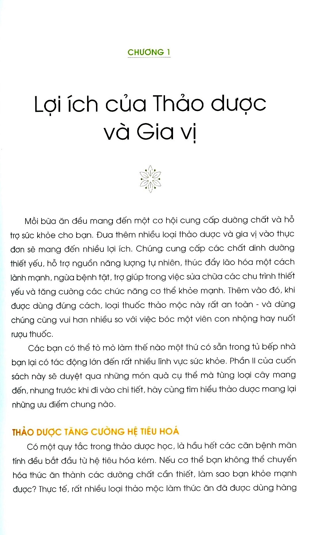 năng lượng sống từ thảo dược