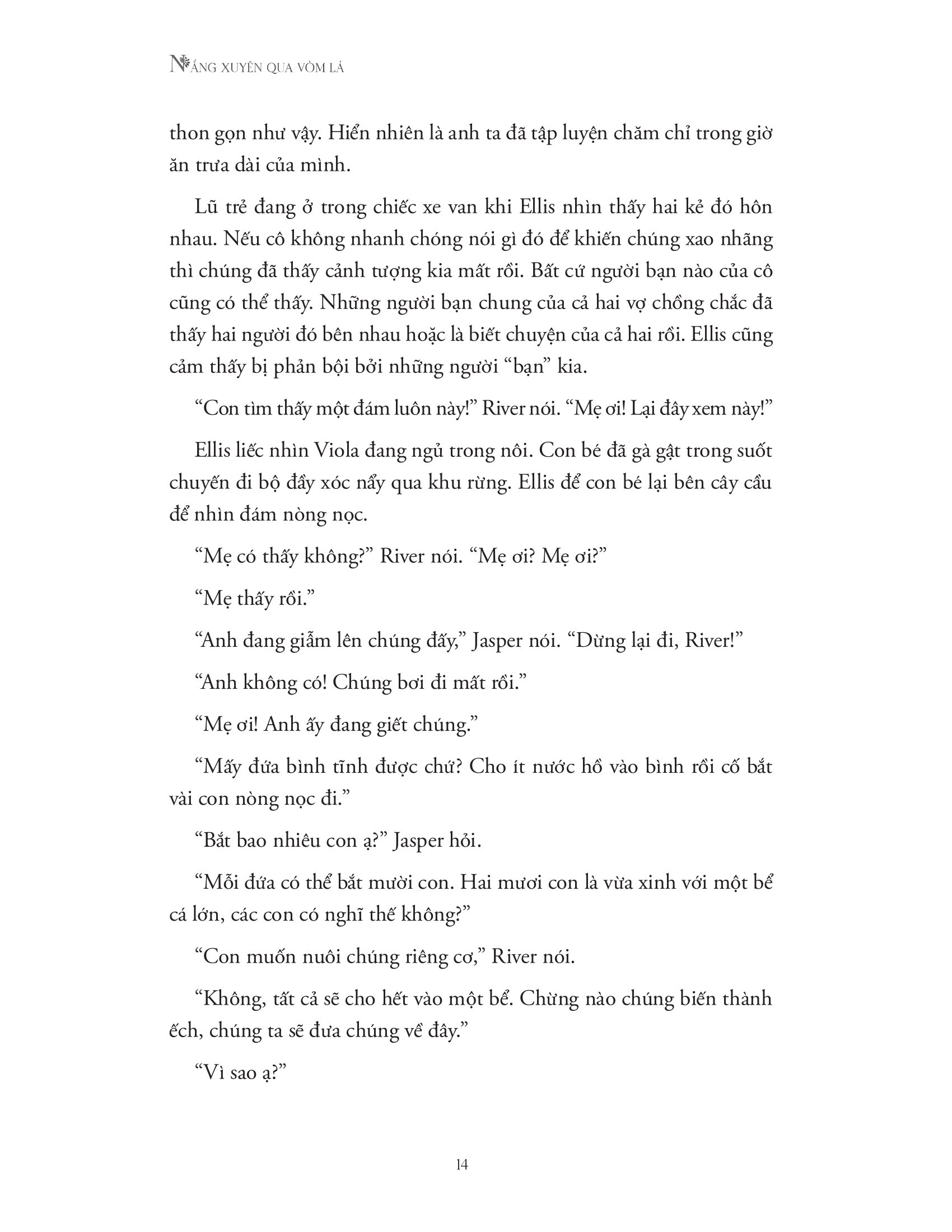 nắng xuyên qua vòm lá