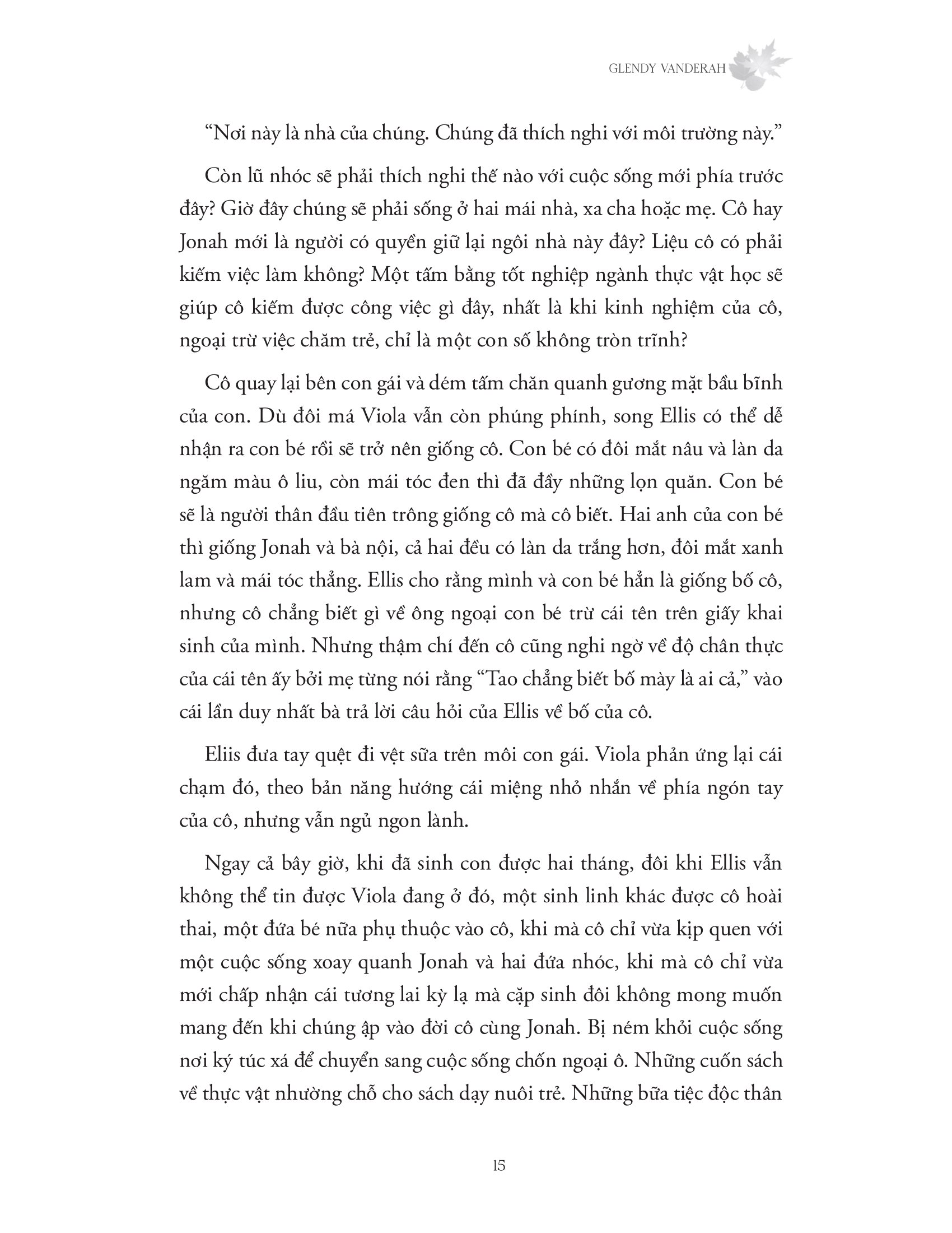 nắng xuyên qua vòm lá