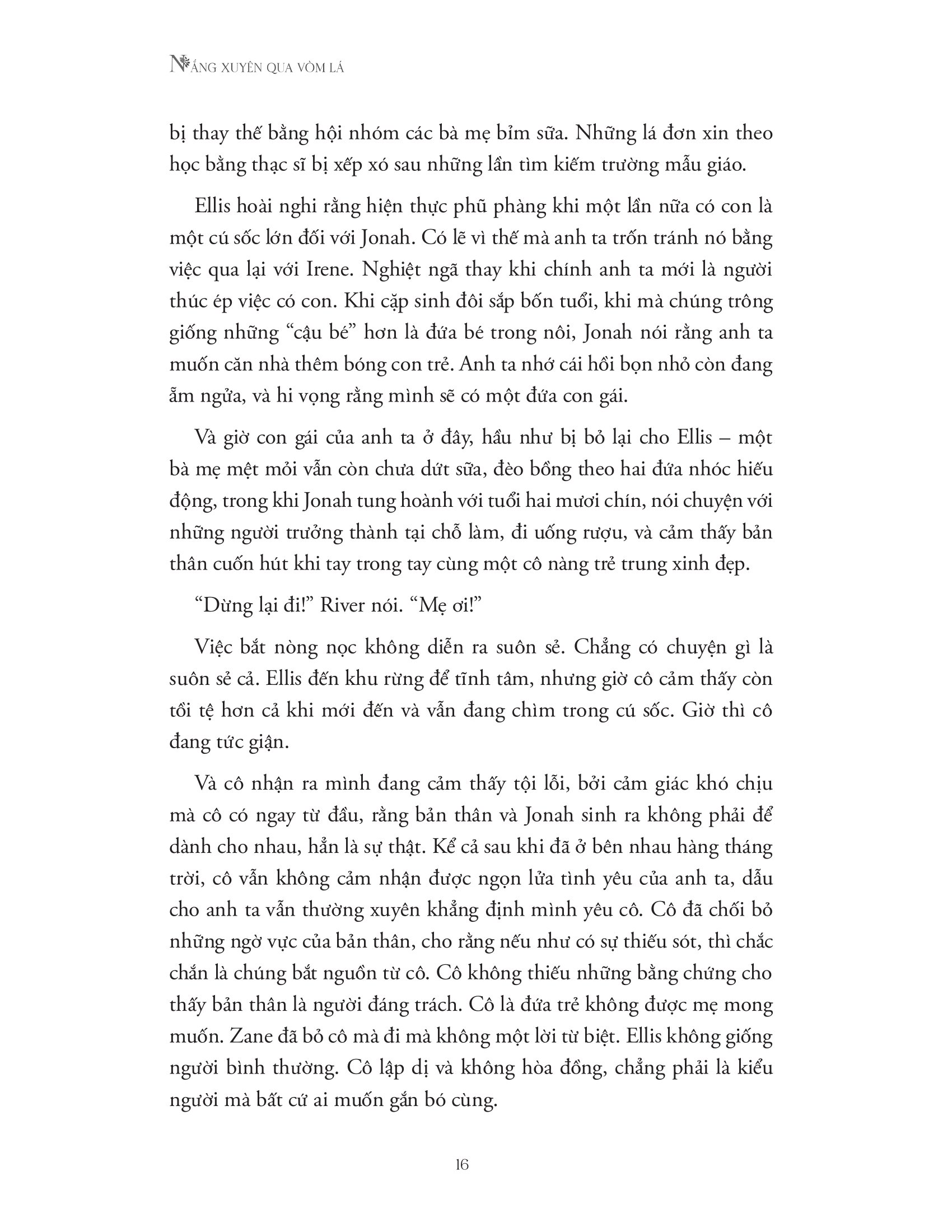 nắng xuyên qua vòm lá