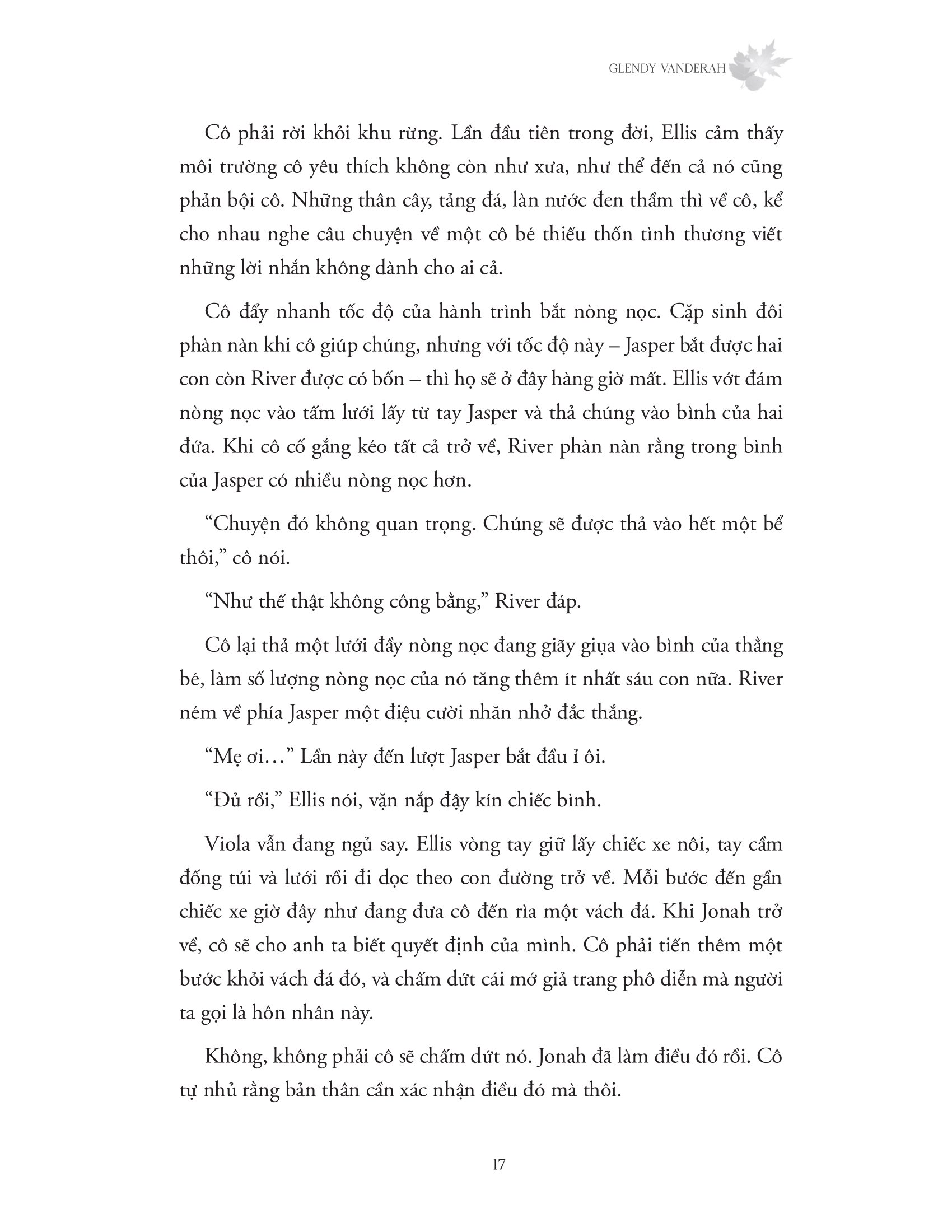 nắng xuyên qua vòm lá