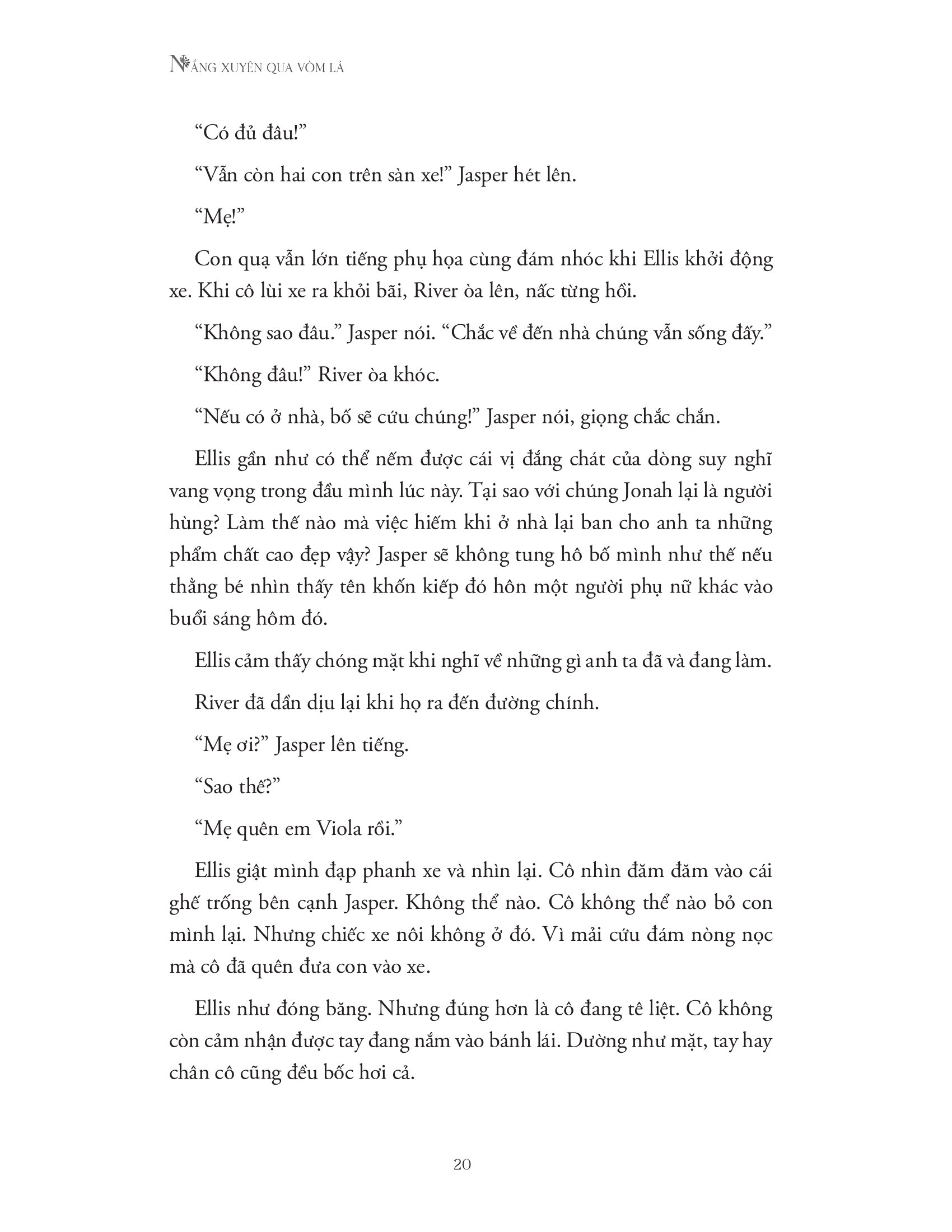 nắng xuyên qua vòm lá