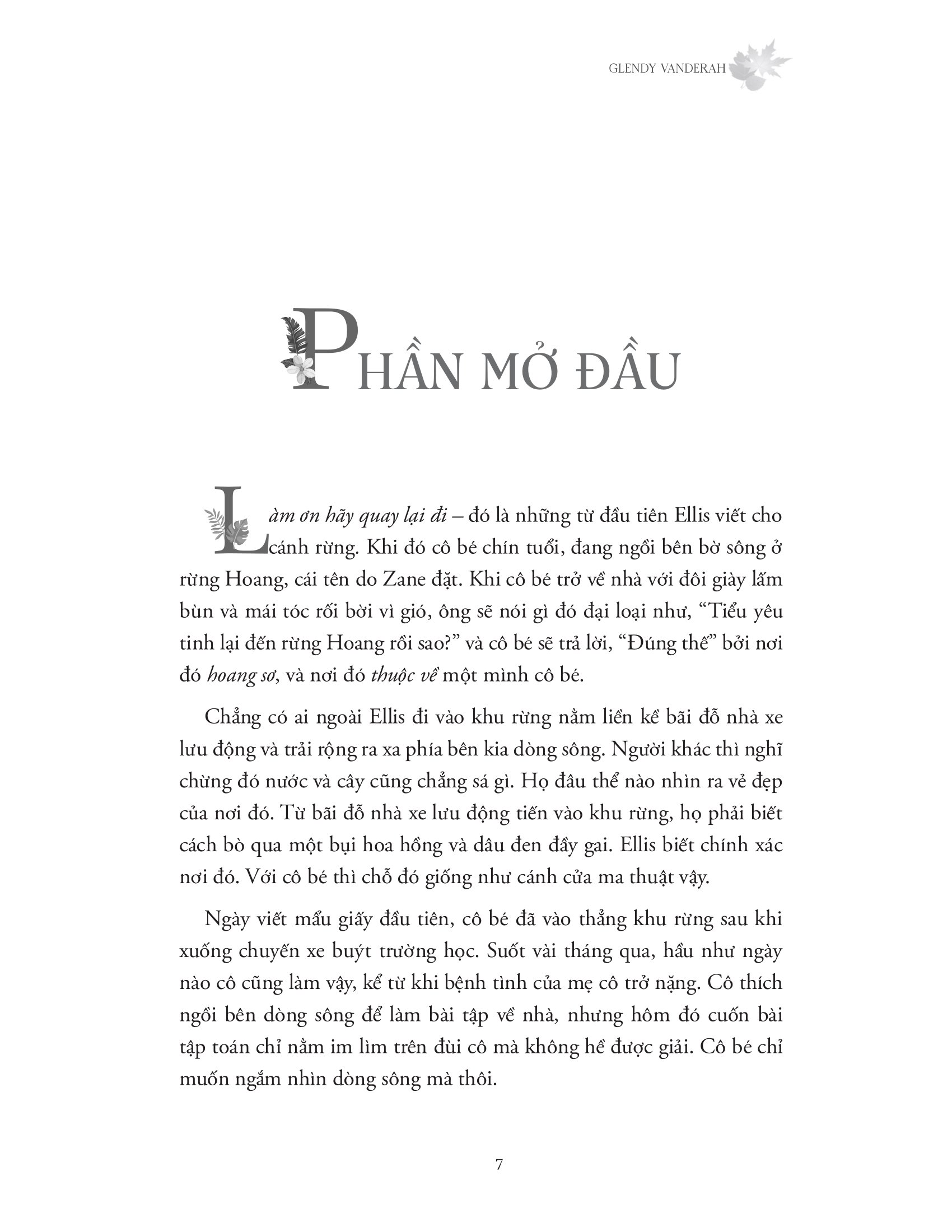 nắng xuyên qua vòm lá