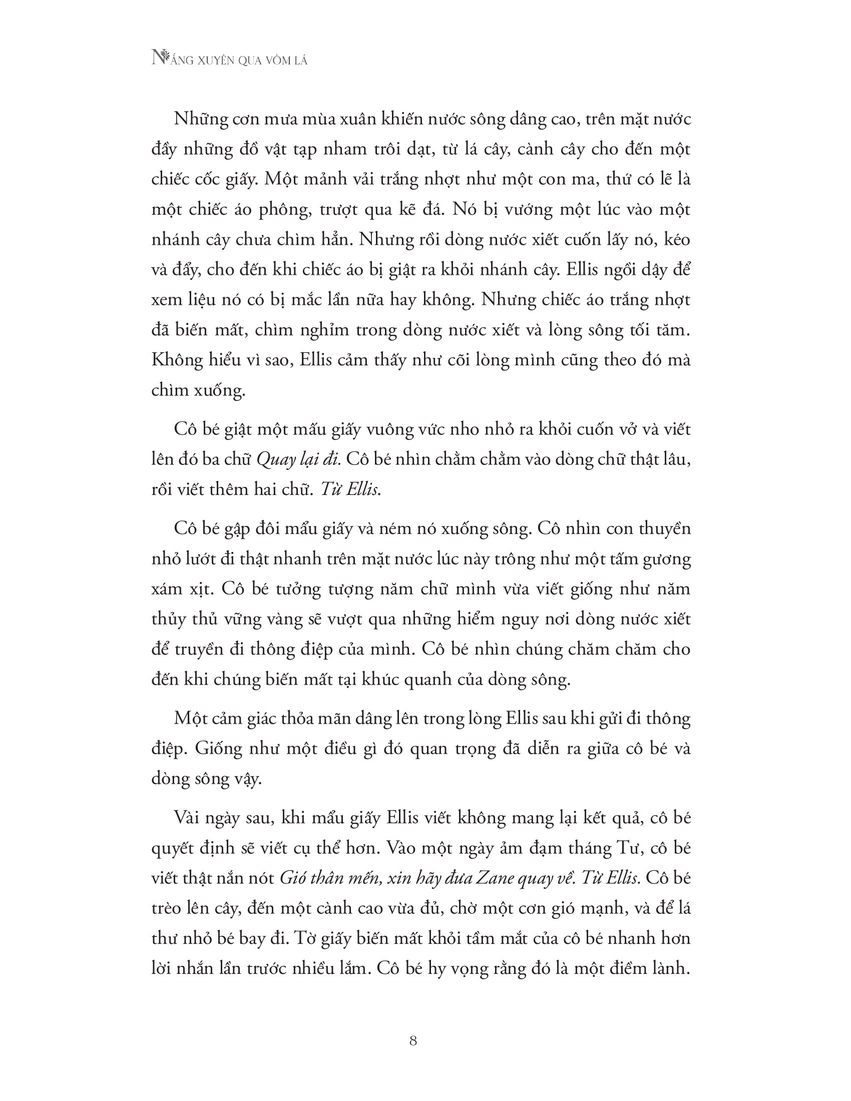 nắng xuyên qua vòm lá