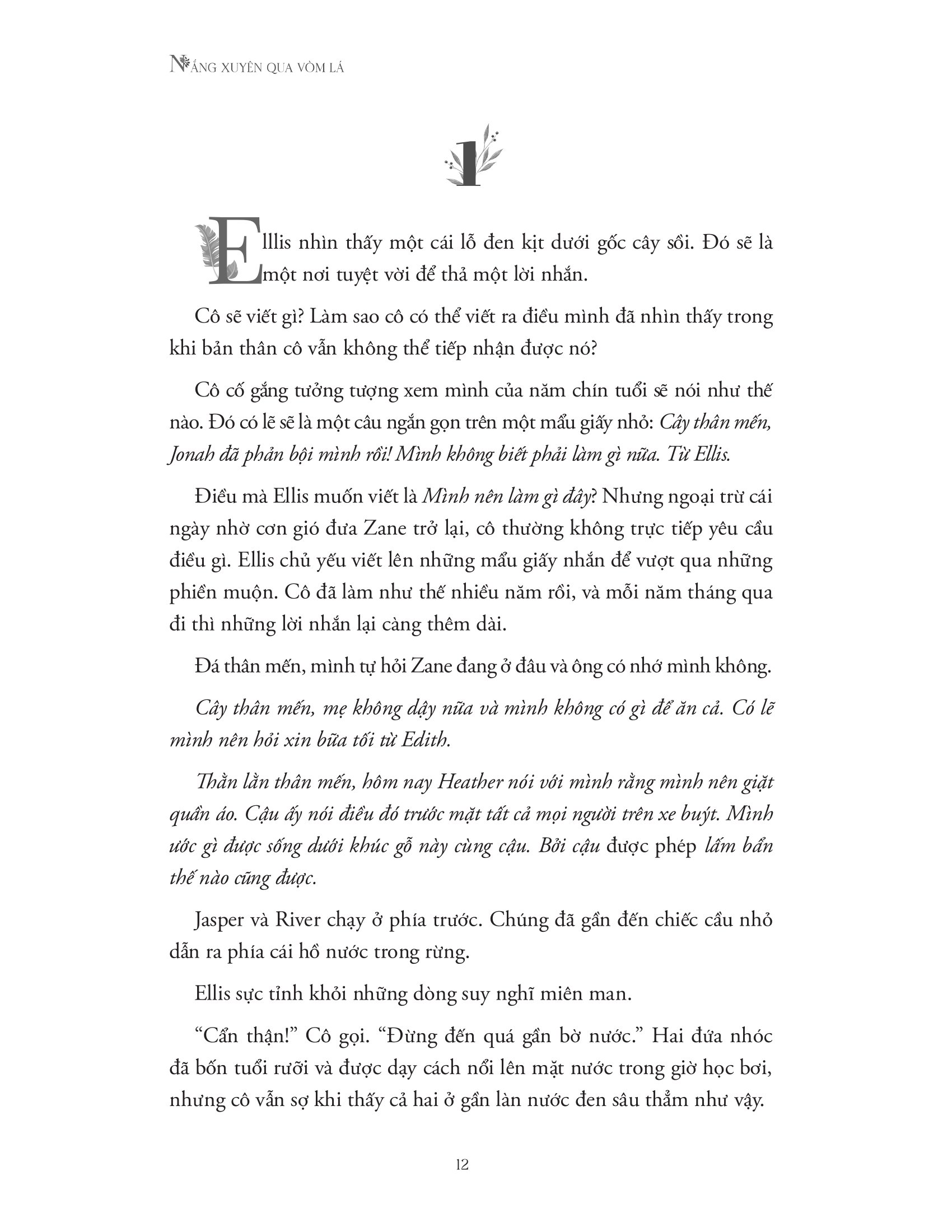 nắng xuyên qua vòm lá