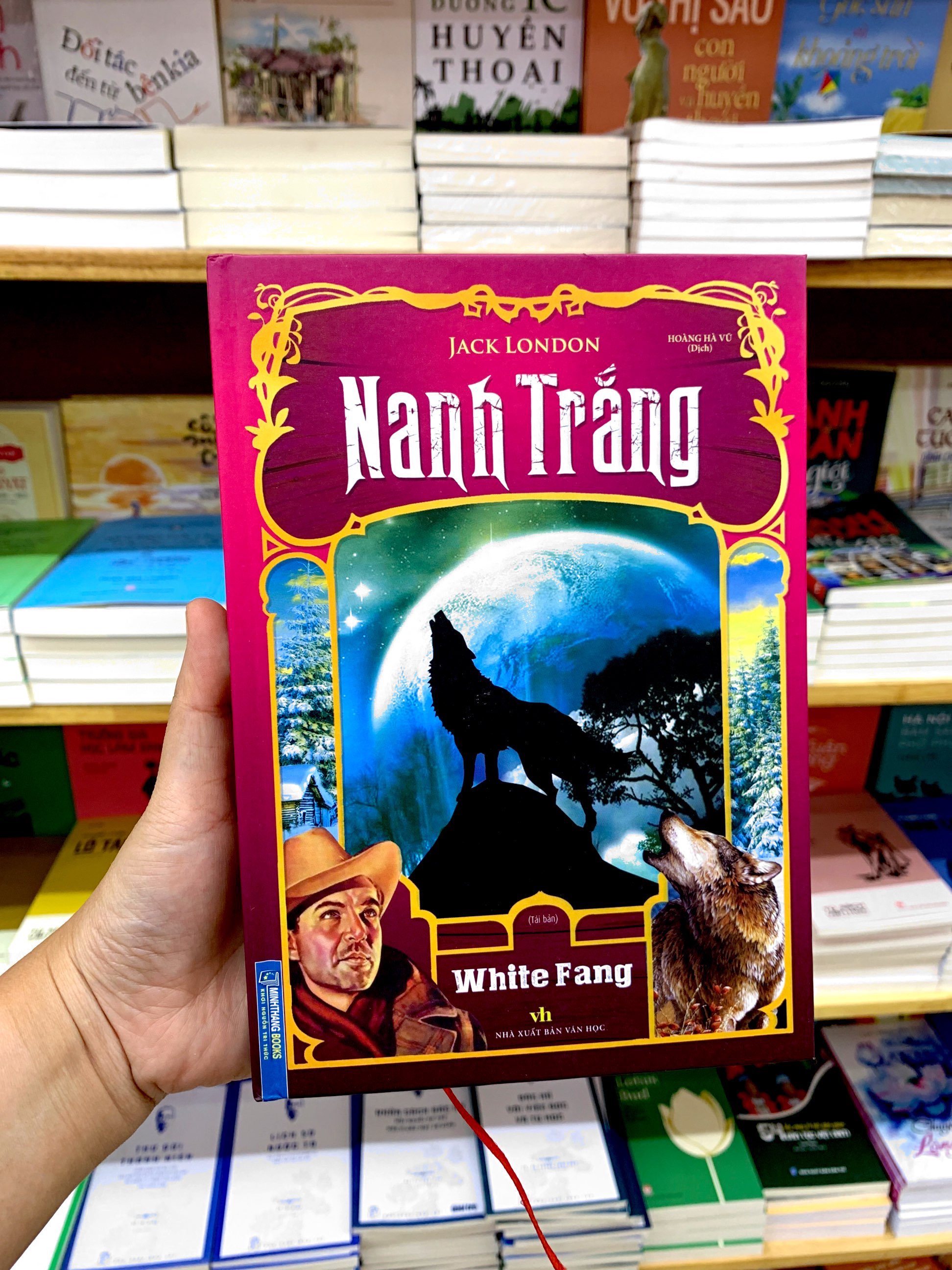 nanh trắng - bìa cứng (tái bản 2023)