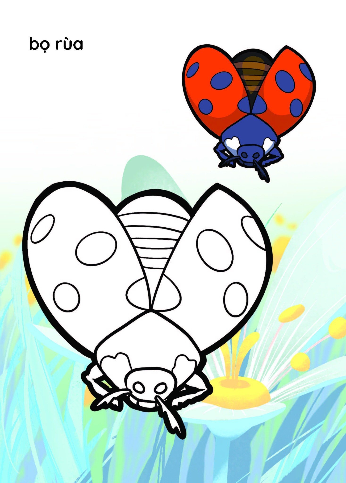 nào mình cùng tô màu nhé! - côn trùng