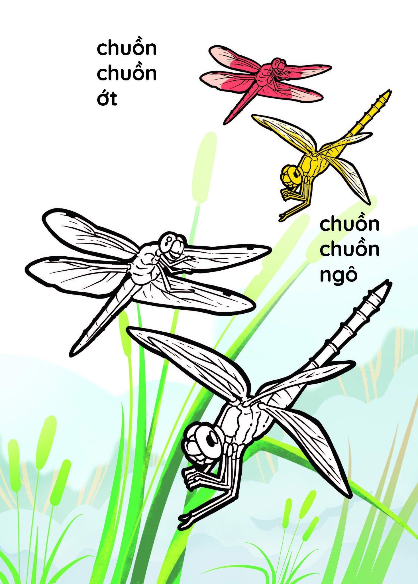 nào mình cùng tô màu nhé! - côn trùng