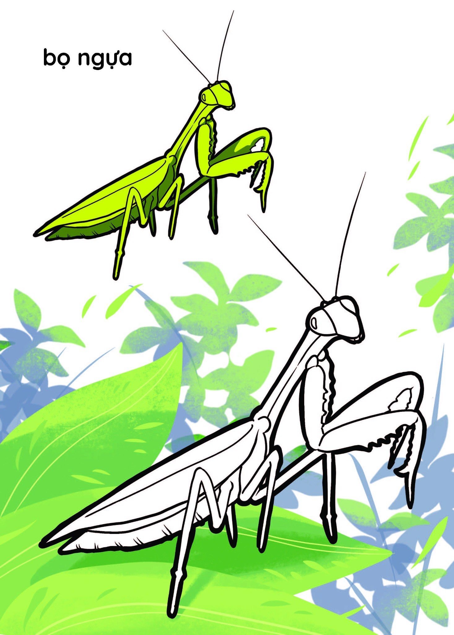 nào mình cùng tô màu nhé! - côn trùng