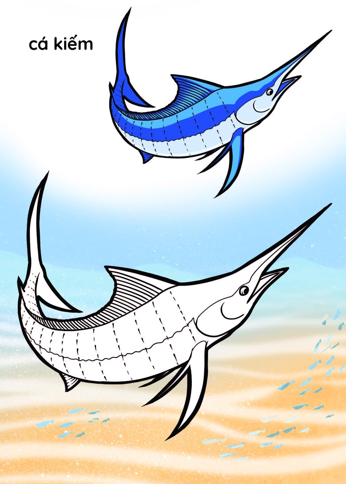 nào mình cùng tô màu nhé! - đại dương