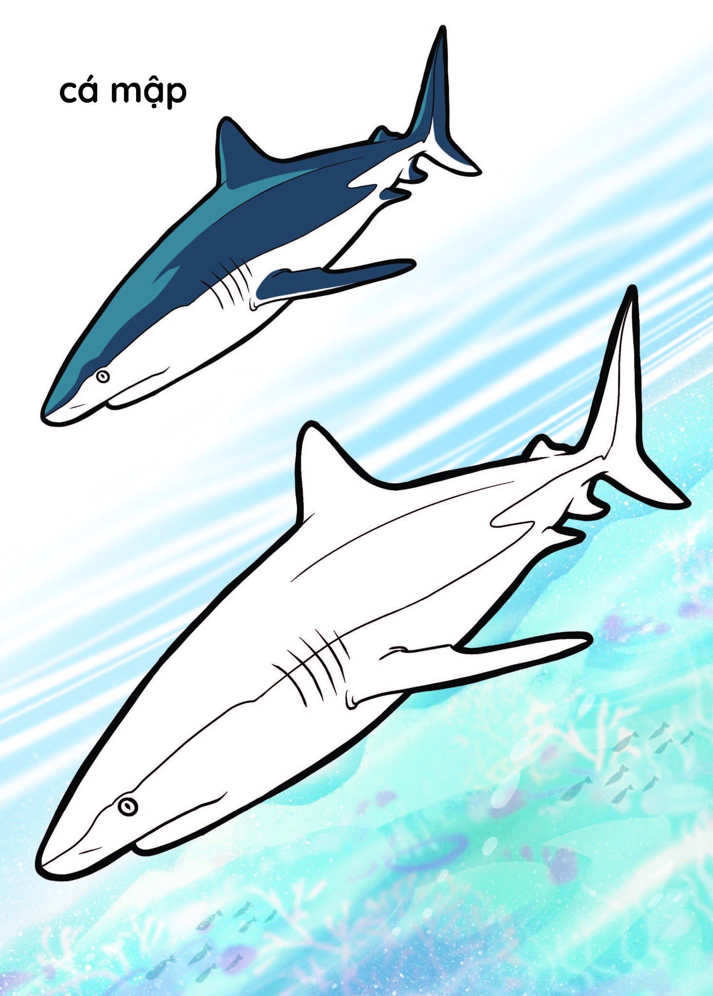 nào mình cùng tô màu nhé! - đại dương