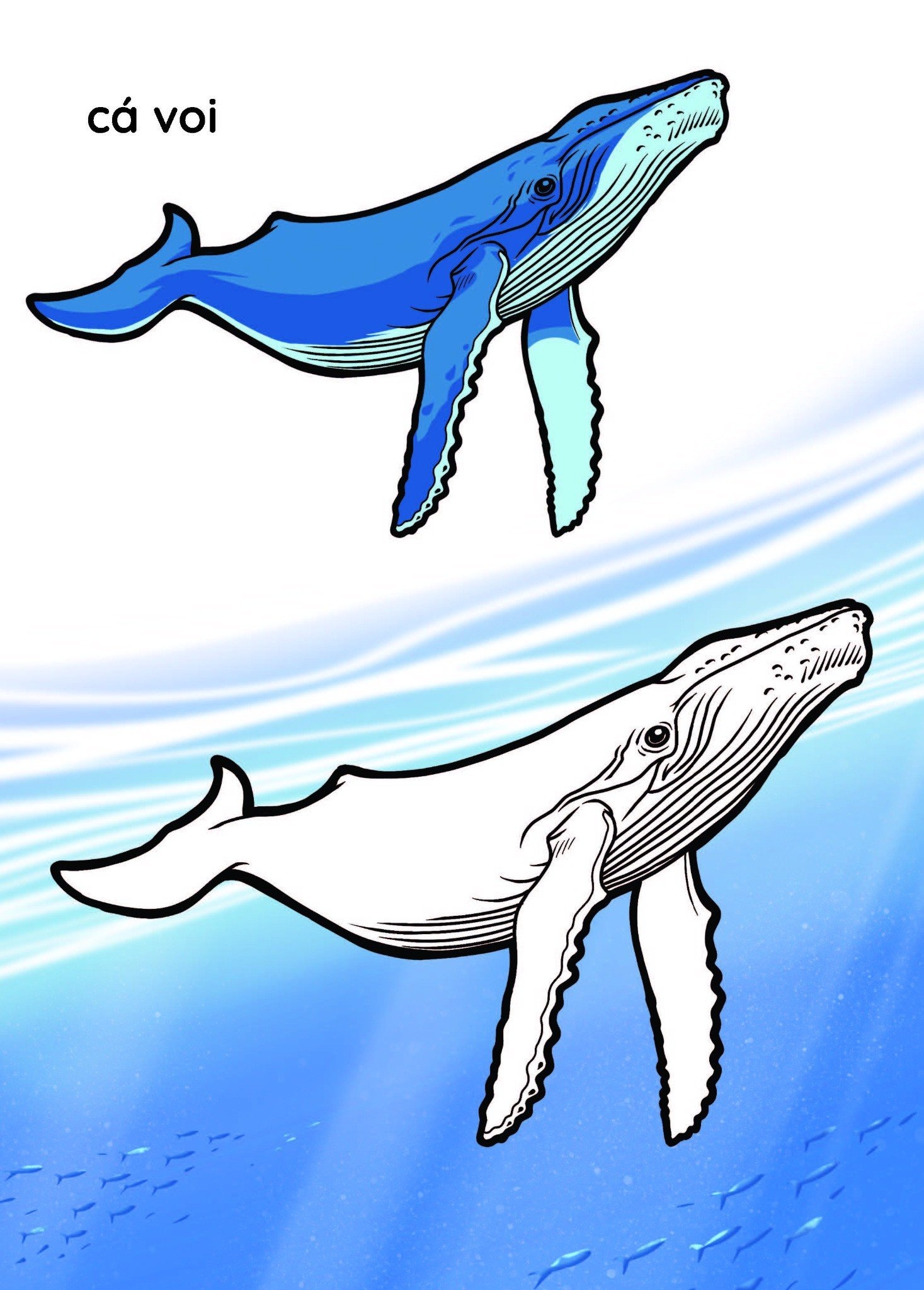 nào mình cùng tô màu nhé! - đại dương